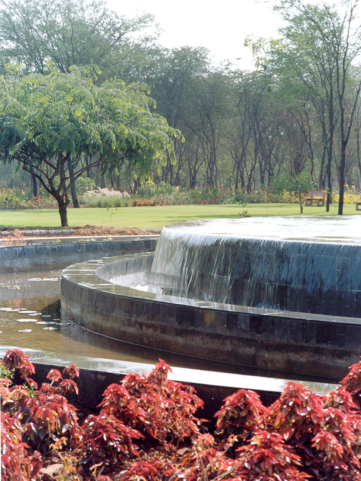 DAIICT Nature photo 20