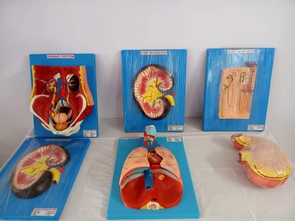 Rama Devi Nursing Institute Bardhaman Infrastructure photo 12