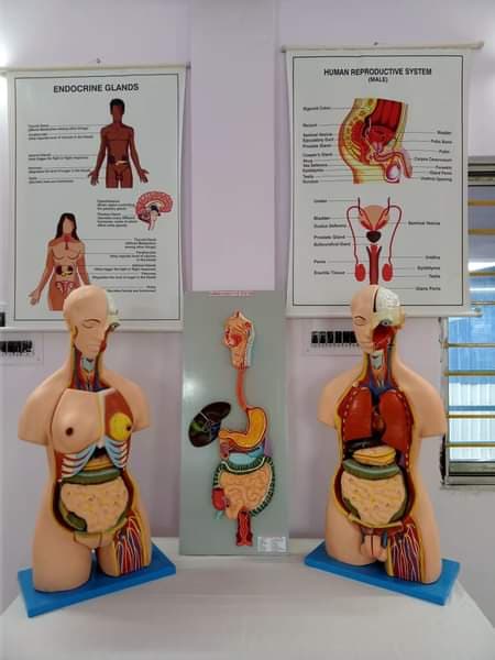 Rama Devi Nursing Institute Bardhaman Infrastructure photo 10