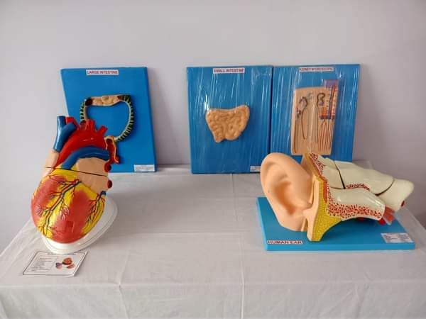 Rama Devi Nursing Institute Bardhaman Infrastructure photo 5