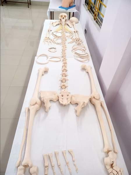 Rama Devi Nursing Institute Bardhaman Infrastructure photo 4