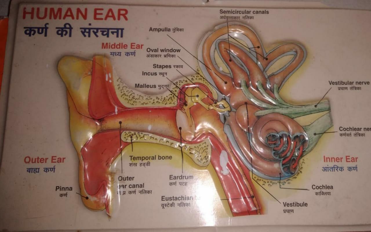 Patliputra College of Nursing Patna Some Moments photo 1
