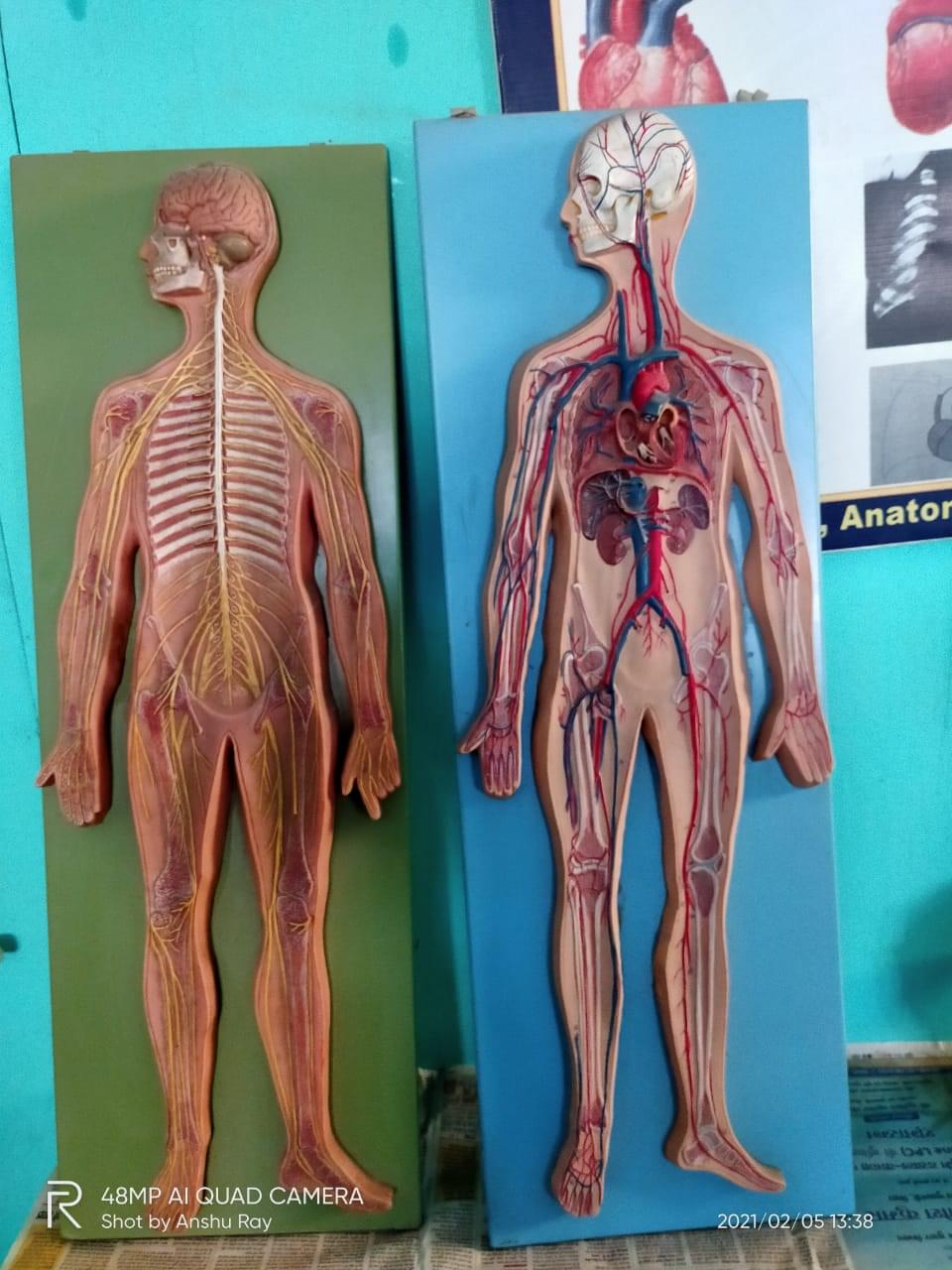 Patliputra College of Nursing Patna Some Moments photo 5