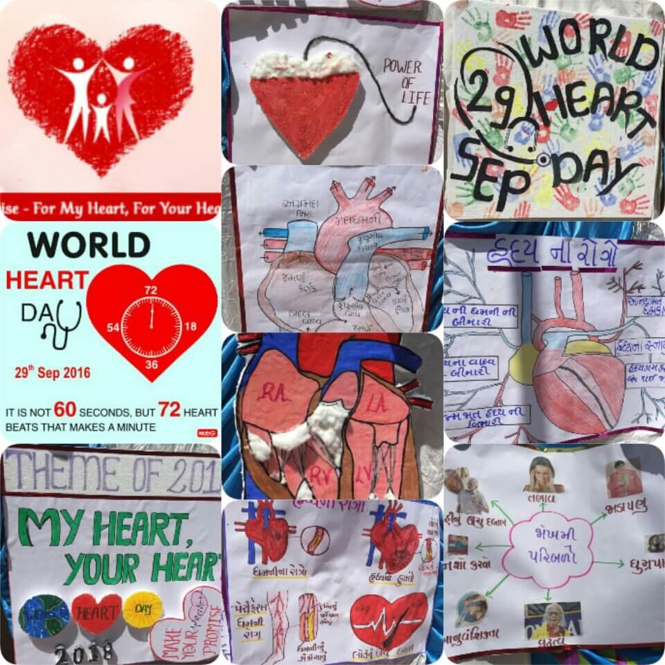 Dr. B R Ambedkar College of Nursing Gandhinagar World Heart Day Exhibition and Awareness Programme photo 5