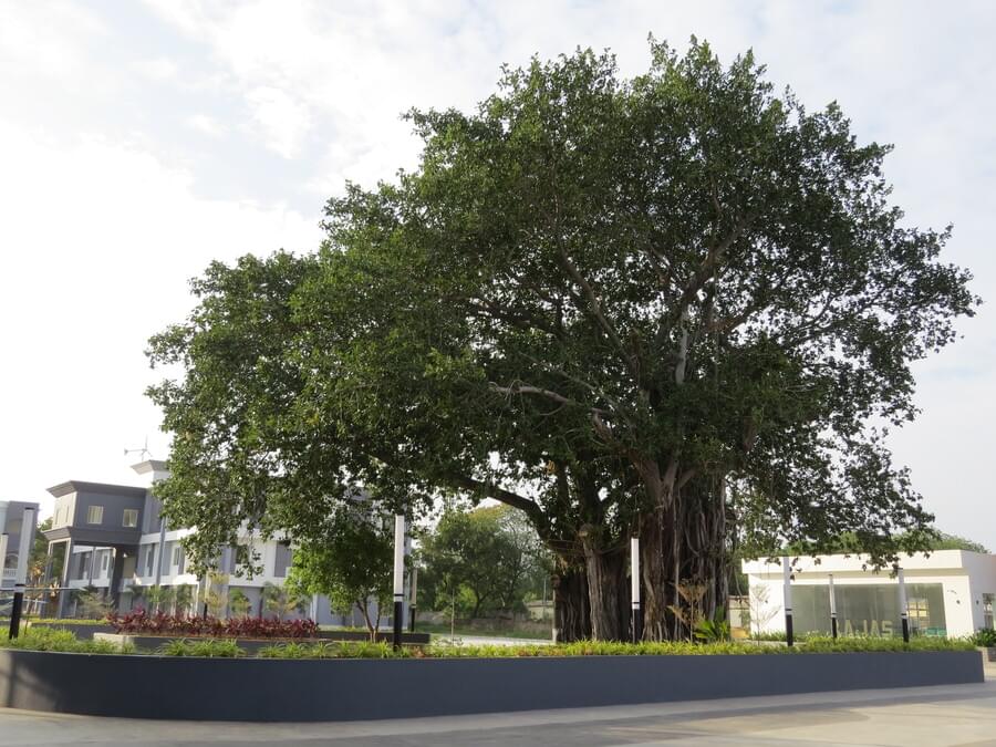 Joy University Tirunelveli Infrastructure photo 9