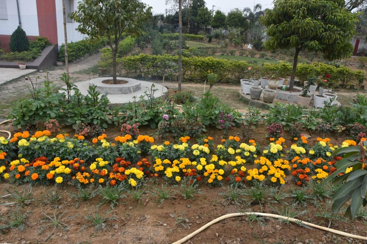 Prabhat Jyotirmoyee Educational Research Institute Birbhum Some Moments photo 10