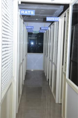 Sri Venkateshwara College of Pharmacy Chittoor Animal House photo 4