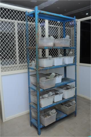 Sri Venkateshwara College of Pharmacy Chittoor Animal House photo 6