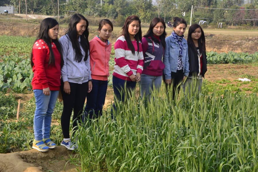 Phonics University Campus & Activities photo 1