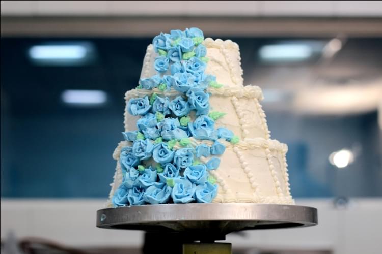 Apeejay Institute of Hospitality Navi Mumbai Infrastructure photo 41