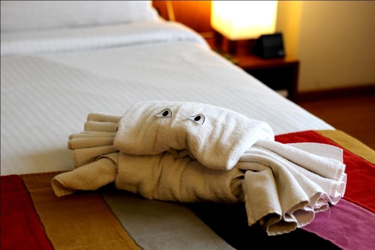 Apeejay Institute of Hospitality Navi Mumbai Infrastructure photo 53