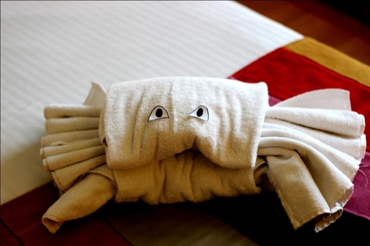 Apeejay Institute of Hospitality Navi Mumbai Infrastructure photo 52