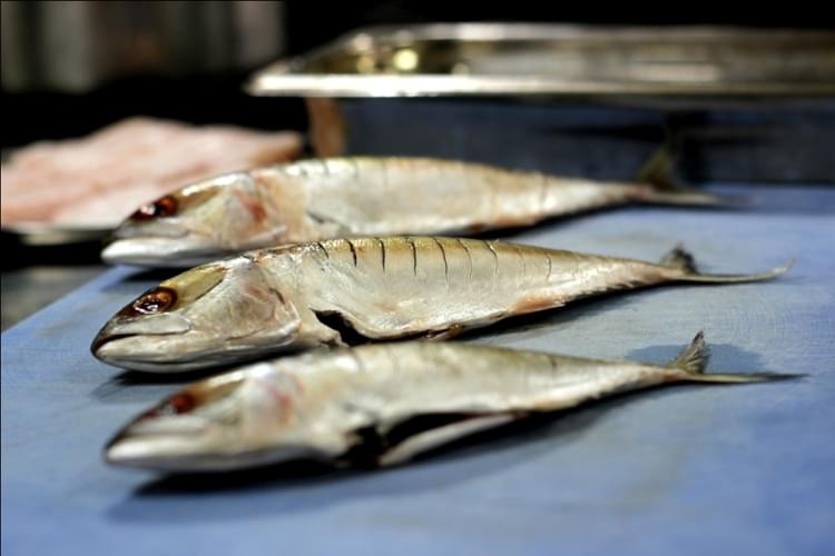 Apeejay Institute of Hospitality Navi Mumbai Infrastructure photo 51