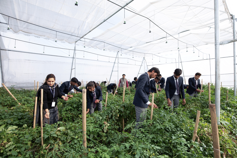 Oriental University Indore Activities photo 5