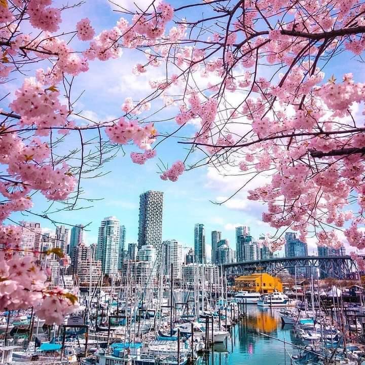 Skybird Aviation Hyderabad Academic Building photo 5