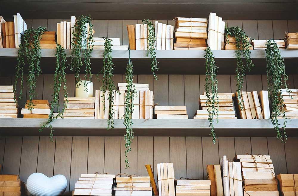 Sevdie Institute of Management and Technology Lucknow Some Moments photo 10