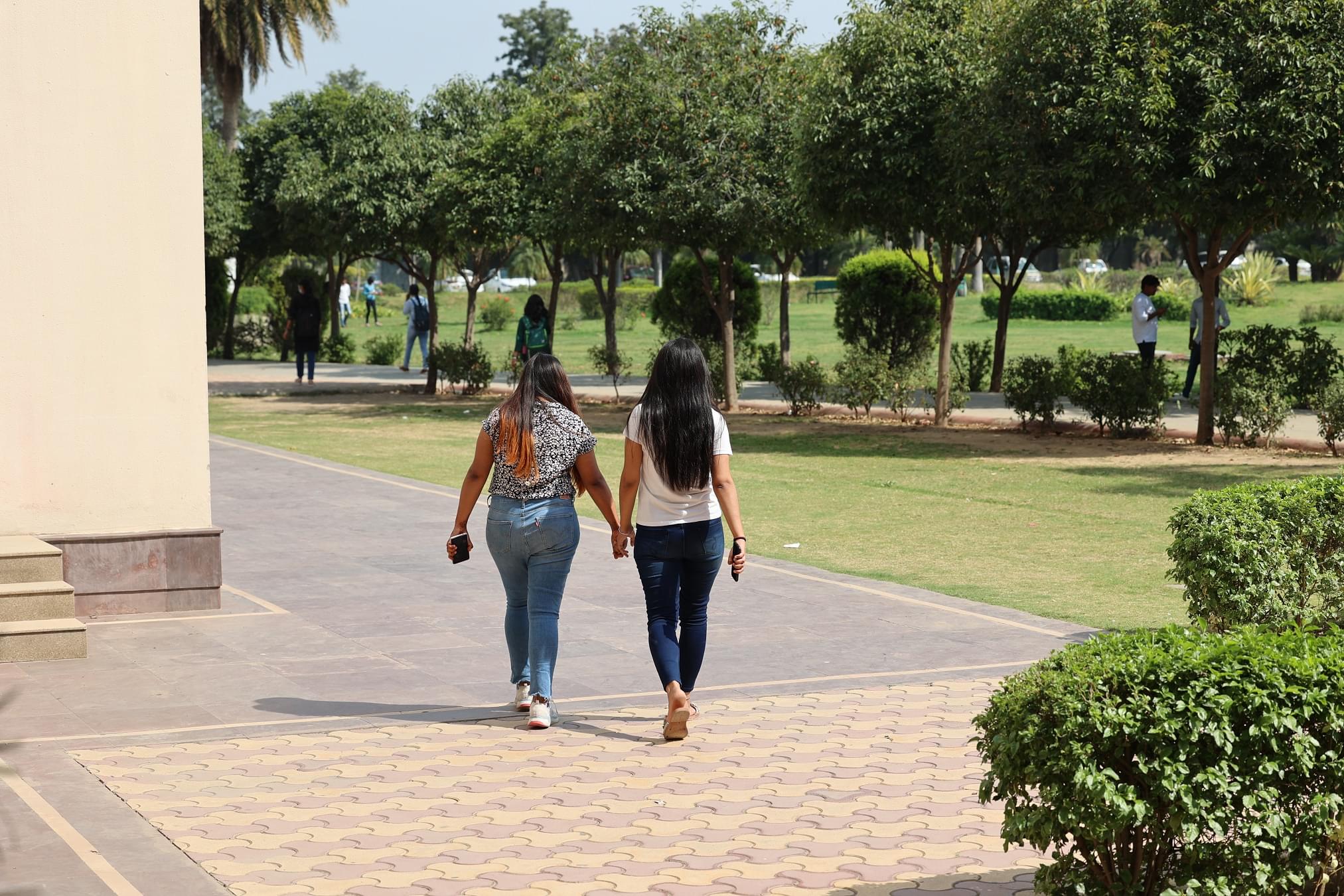 Unitedworld Institute of Design Gurgaon Campus photo 9