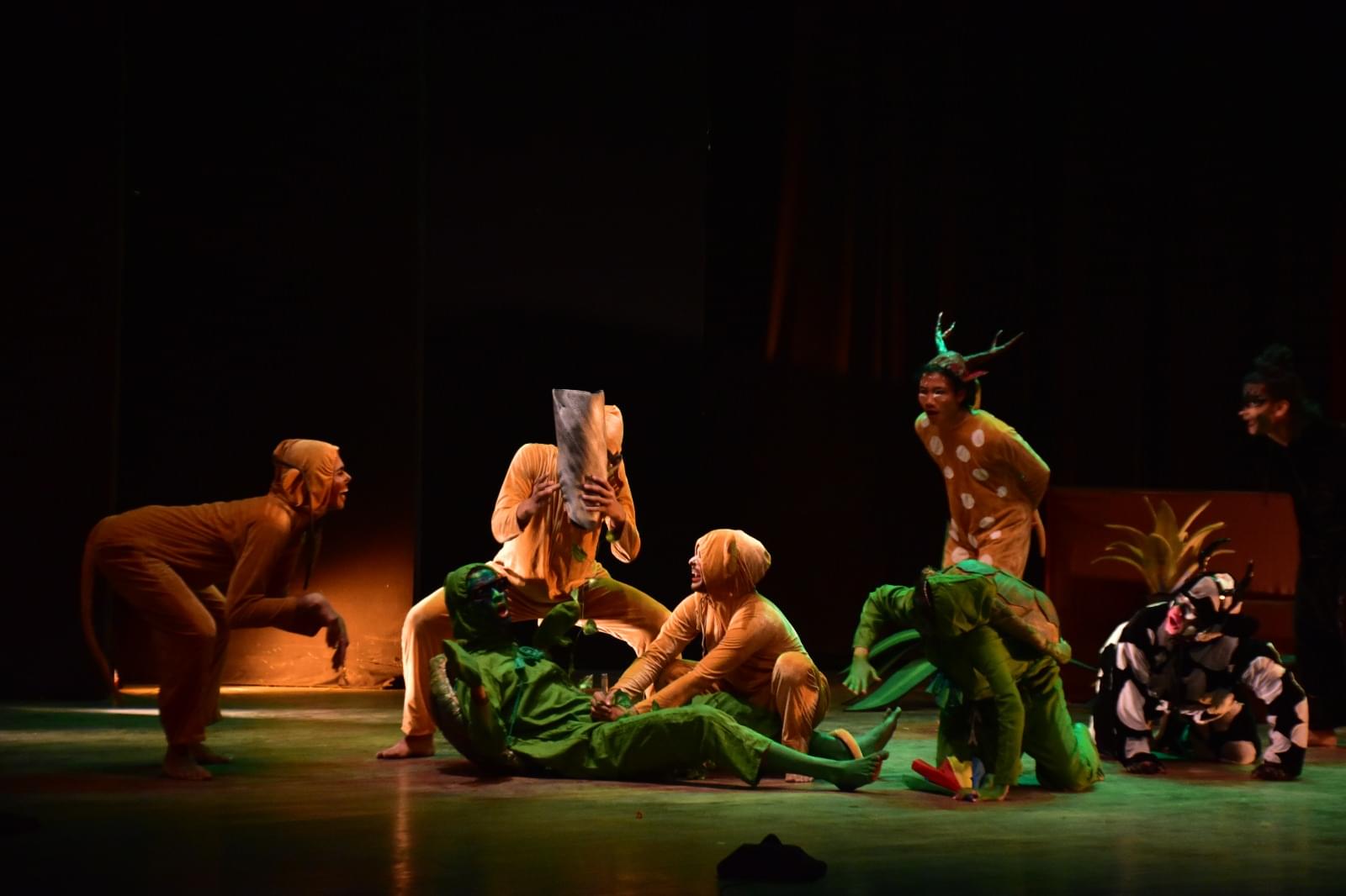 NSD Events & Activities photo 16