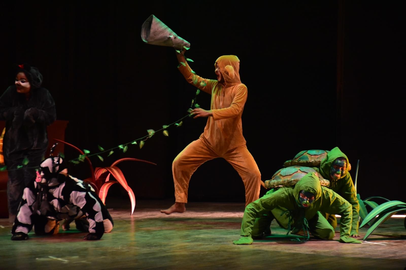 NSD Events & Activities photo 18