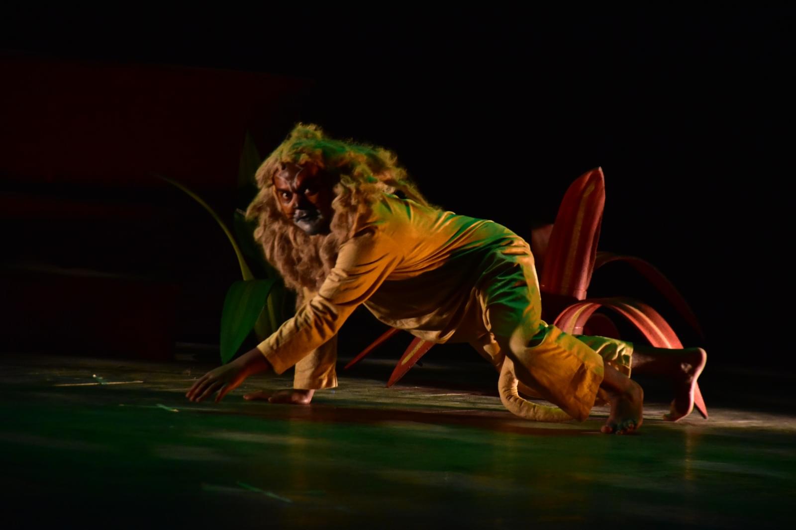 NSD Events & Activities photo 17