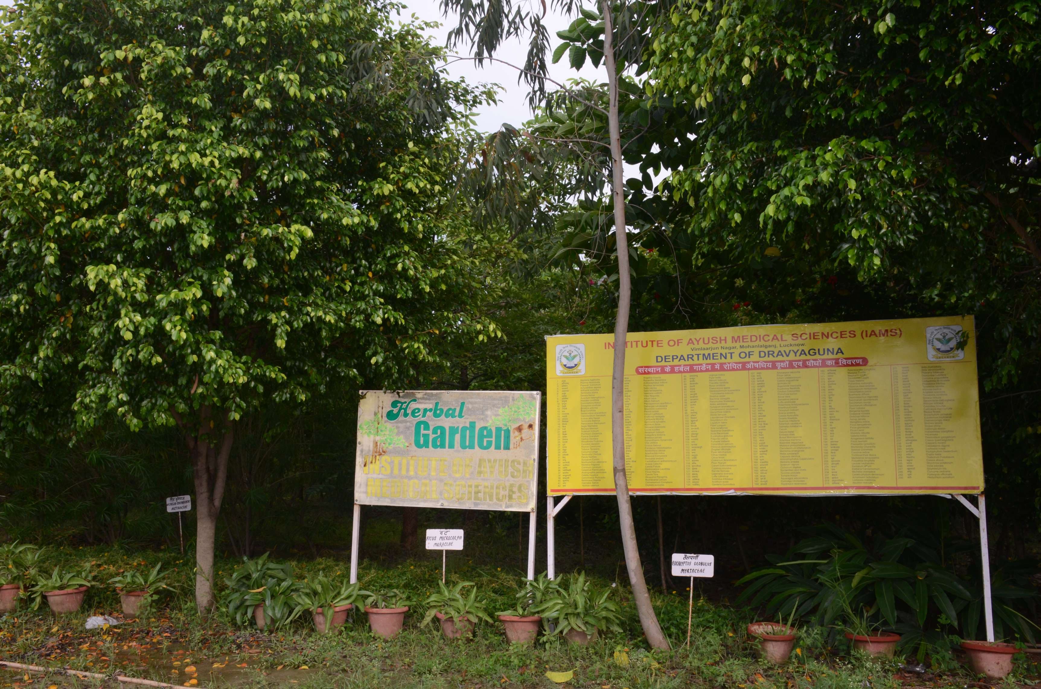 Institute of Ayush Medical Sciences Lucknow Campus photo 6