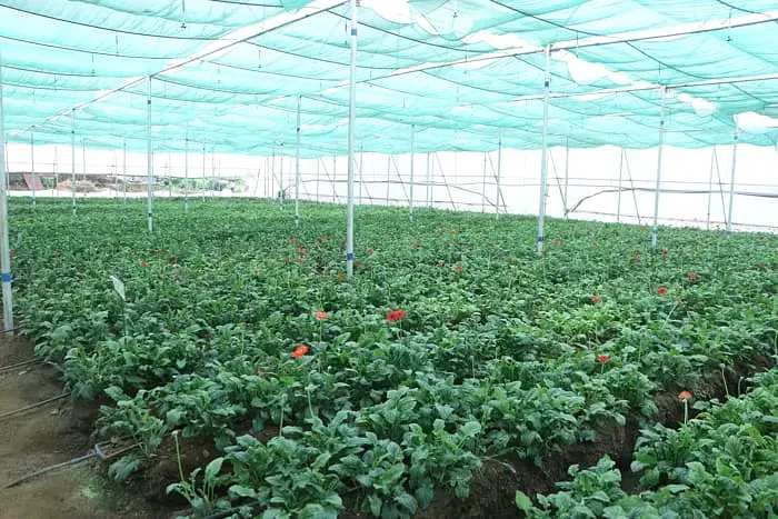 G H Raisoni SkillTech University ,  Nagpur Infrastructure photo 22