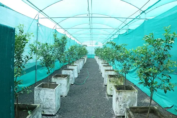 G H Raisoni SkillTech University ,  Nagpur Infrastructure photo 20