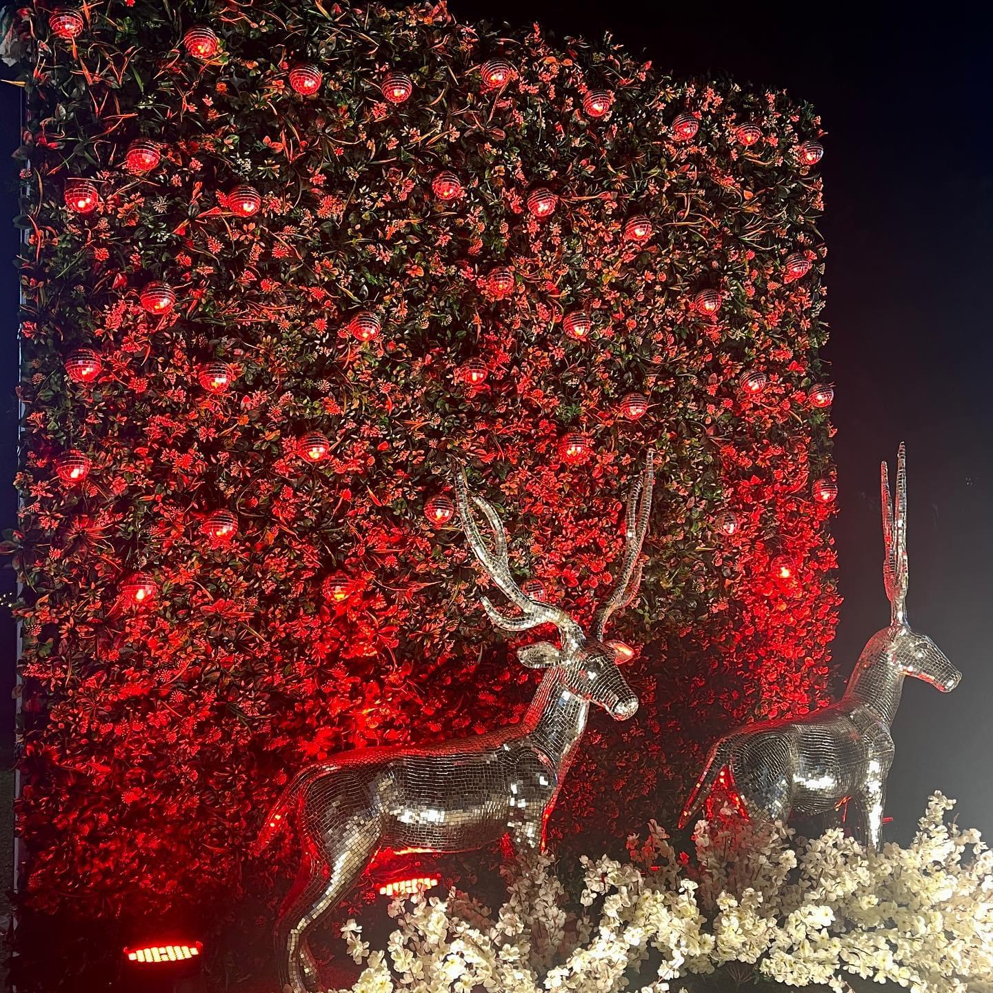 GLIM Gurgaon Events photo 23