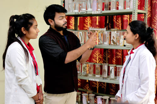 Rawat P.G. Girl's College Jaipur Campus photo 5