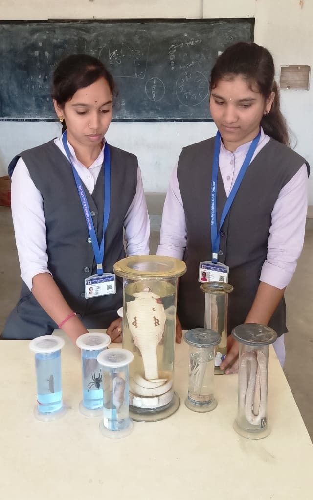 Viswam Degree & PG College Chittoor Campus photo 4