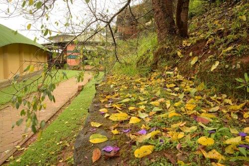 Light and Life Academy Ooty Campus Life photo 23