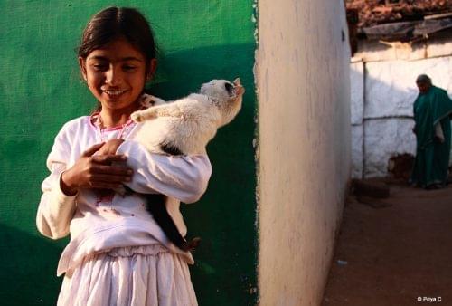 Light and Life Academy Ooty Alumni Work photo 3