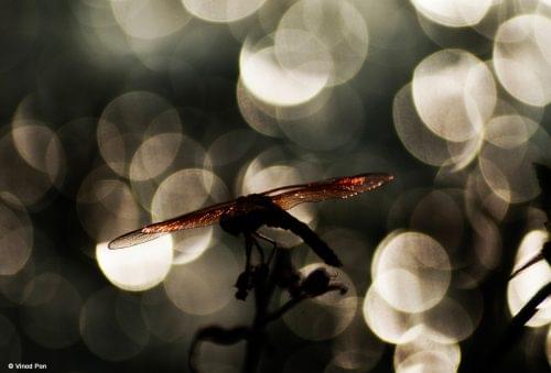 Light and Life Academy Ooty Alumni Work photo 1