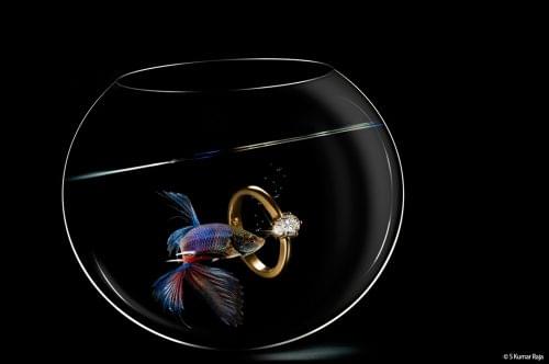 Light and Life Academy Ooty Alumni Work photo 13