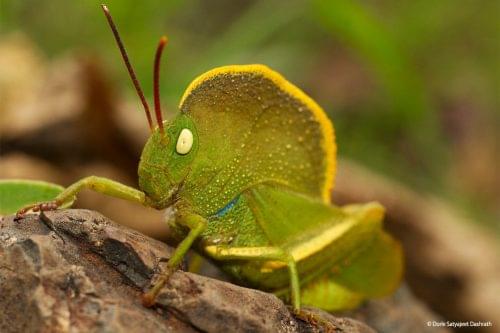 Light and Life Academy Ooty Alumni Work photo 11