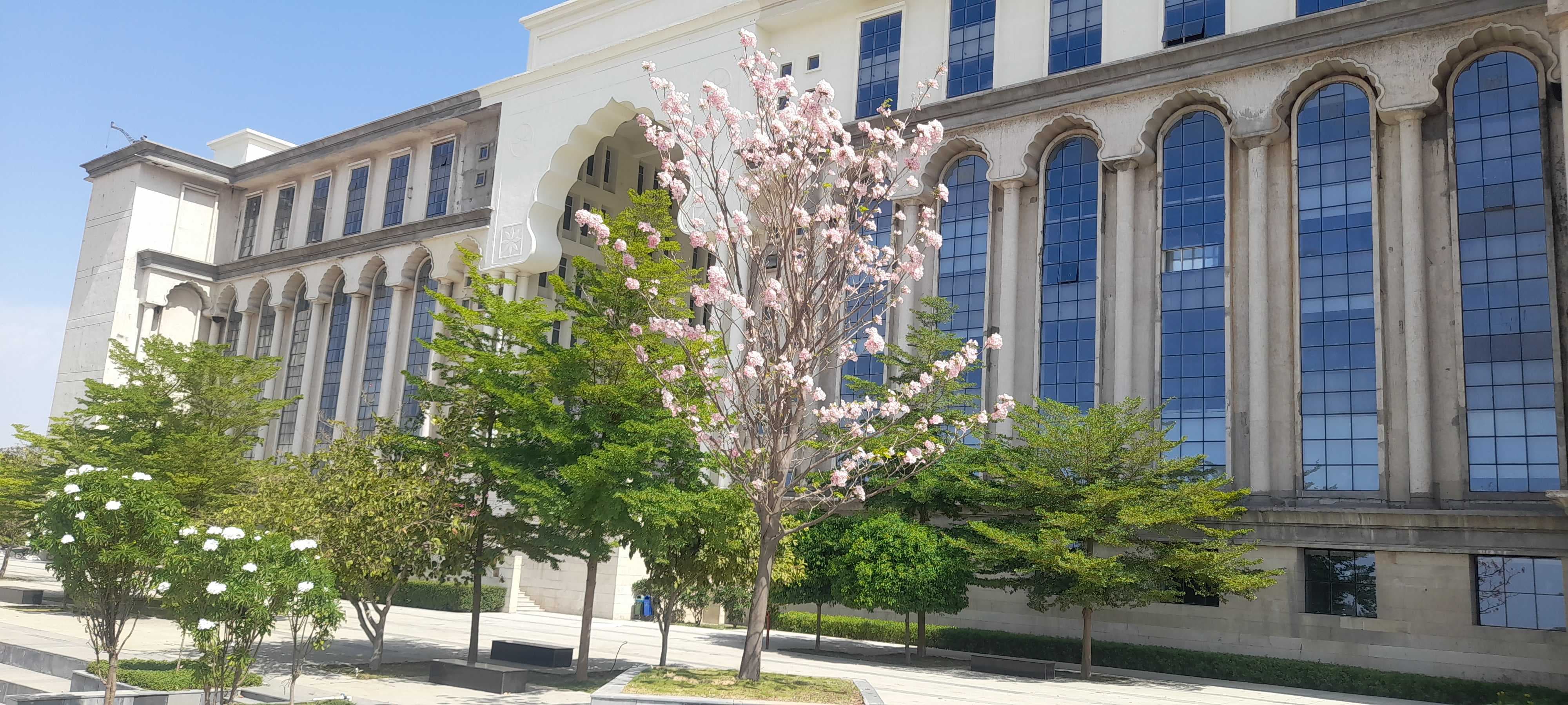 Avantika University Ujjain College campus photo 1