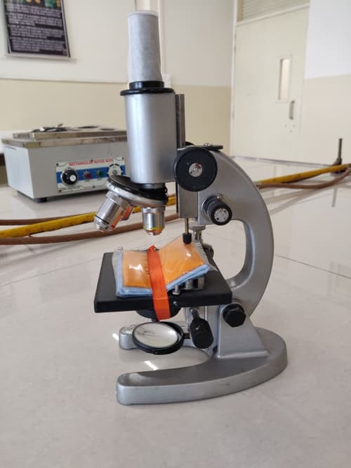 Tilak Maharashtra Vidyapeeth Kharghar Mumbai Campus & Facilities photo 11