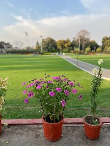 IIT Roorkee Campus photo 10