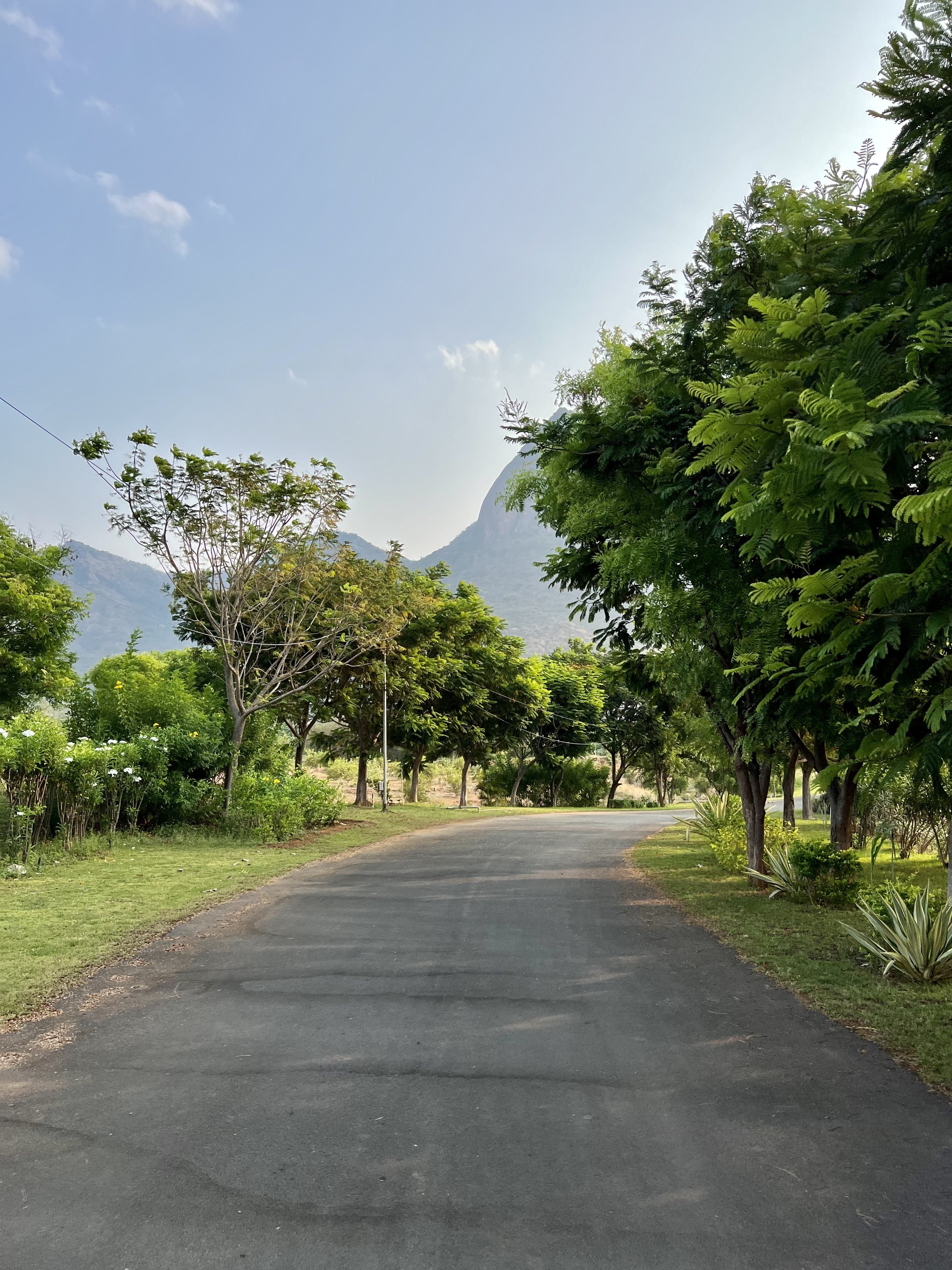 Krishna College of Agriculture and Technology Madurai campus photo 4