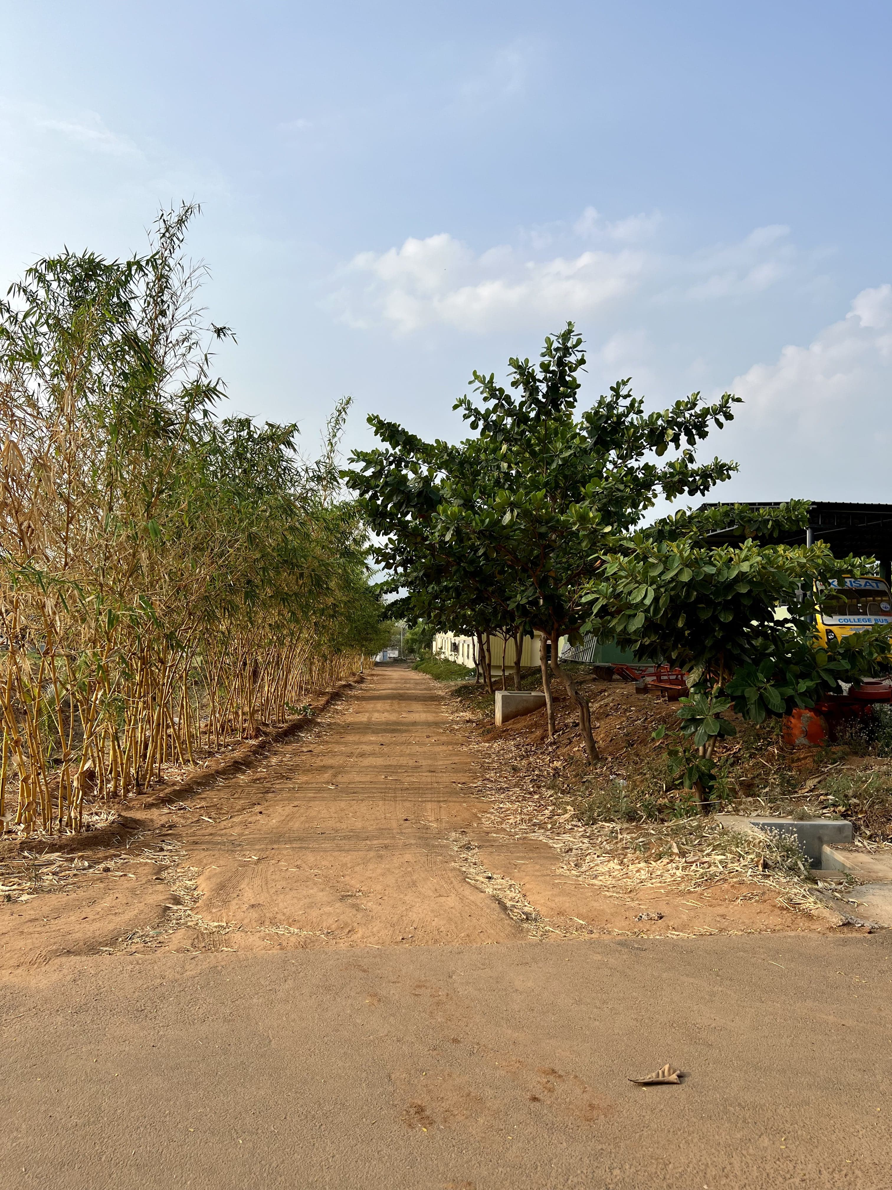 Krishna College of Agriculture and Technology Madurai campus photo 9