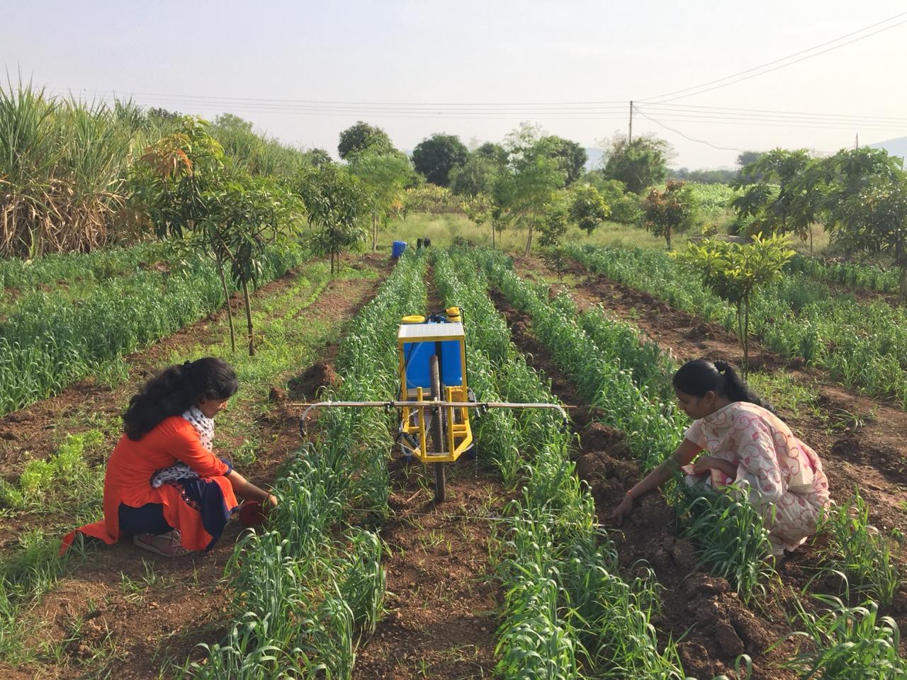 Sahyadri College Of Agricultural Engineering Satara Events & Campus photo 8
