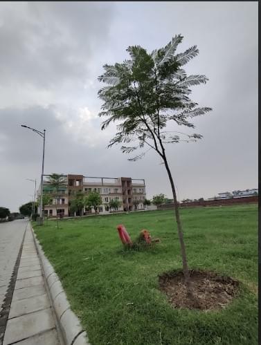 IIM Amritsar Campus and infrastructure photo 28