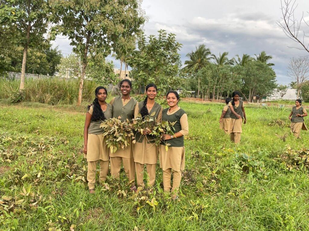 S.Thangapazham Agriculture College Tenkasi Campus photo 5