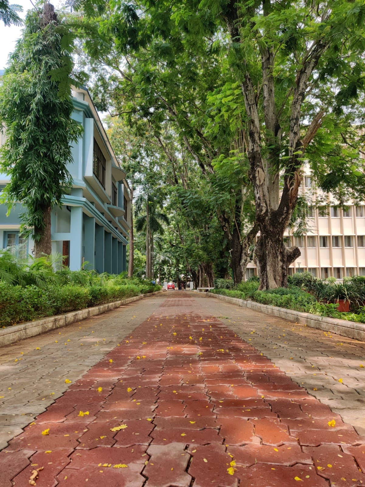 XLRI Jamshedpur Campus and event photo 7