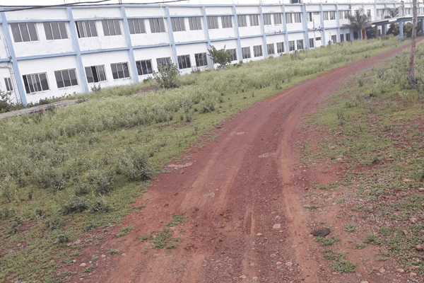 Techno Global University Vidisha Events & Campus photo 1