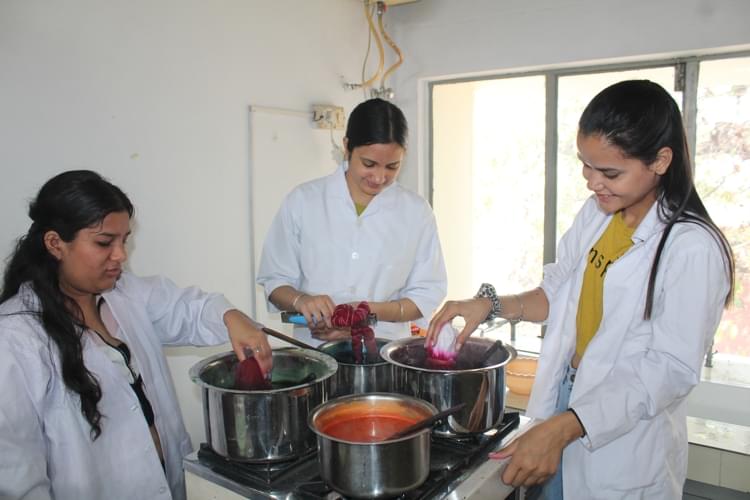 Mehr Chand Mahajan Dayanand Anglo Vedic College for Women Chandigarh Events photo 48