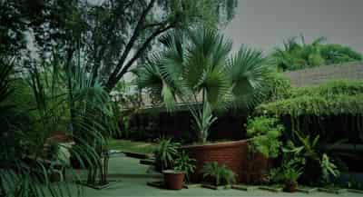 Arvindbhai Patel Institute of Environmental Design Vallabh Vidyanagar Some Moments photo 20