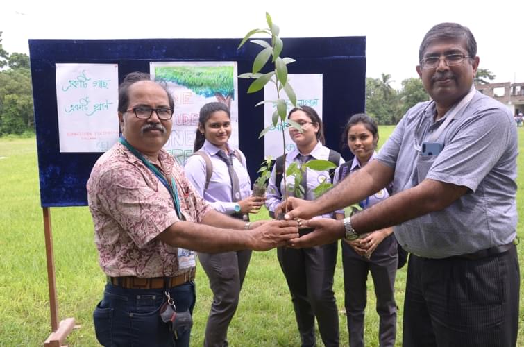Kingston School of Management and Science Kolkata Tree Plantation photo 5