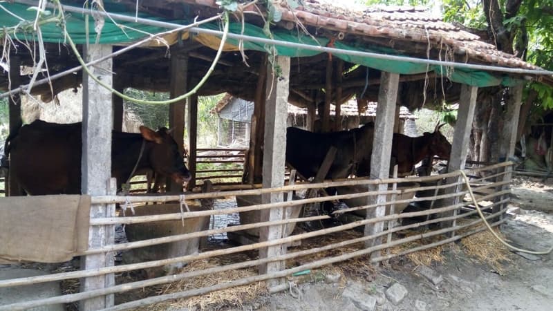 Kingston Polytechnic College Kolkata Internship photo 28