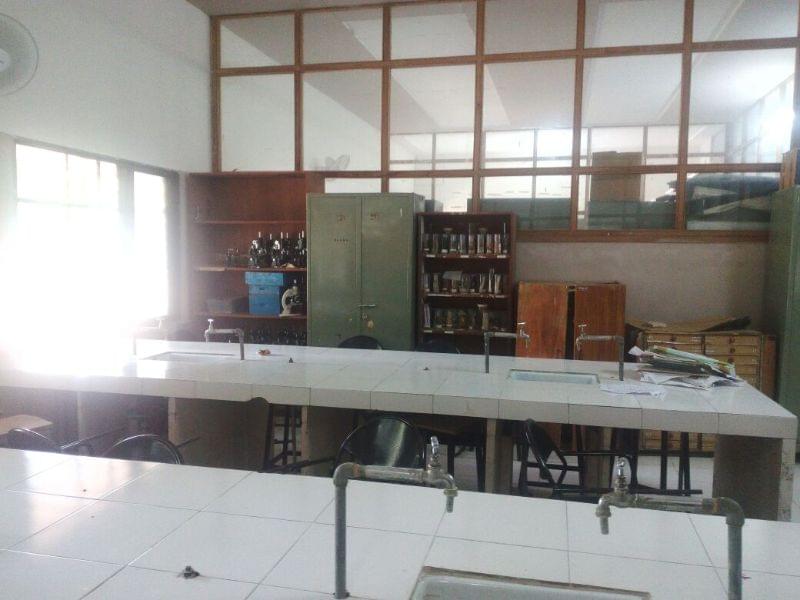 Dr. D. Y. Patil College of Education Pune Campus photo 5